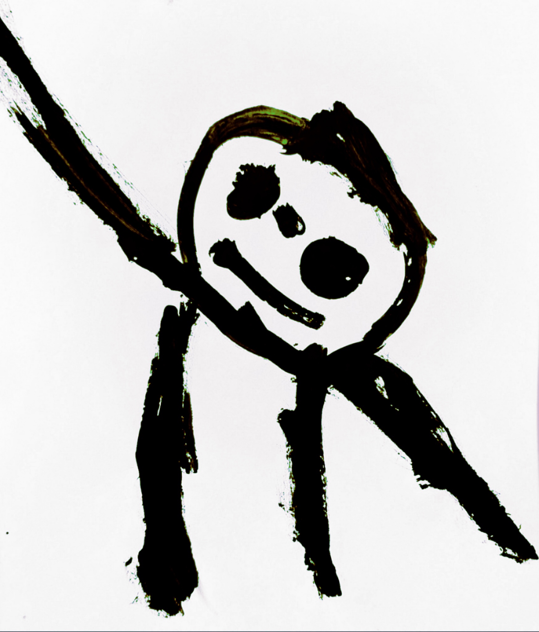 Portrait / visuel de Cosma